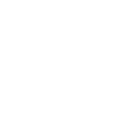 Tooth with root canal